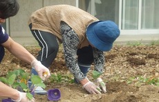 d2014.5.30 2.jpg